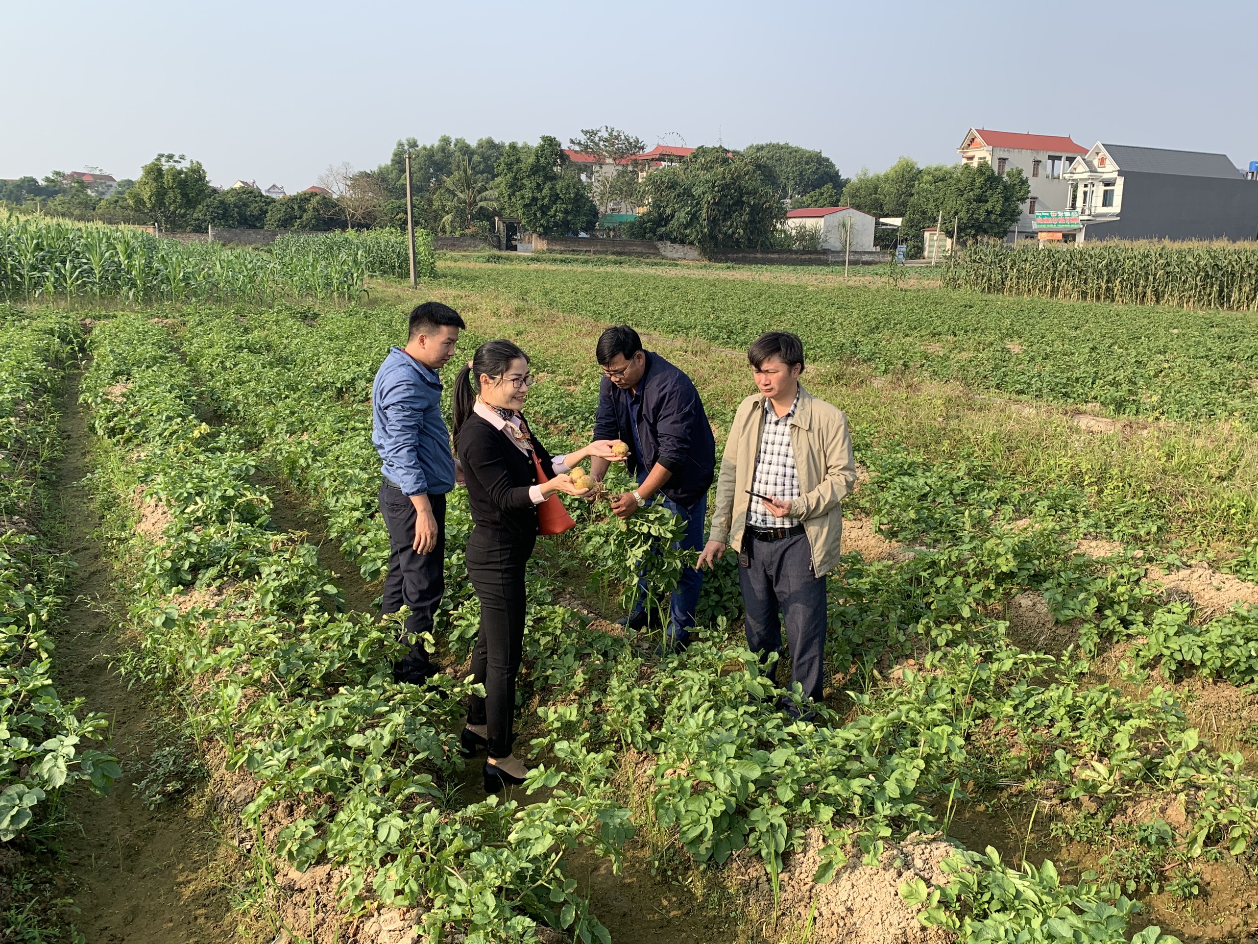 Hội thảo "Hiệu quả của công nghệ bảo quản khoai tây giống bằng công nghệ kiểm soát môi trường và quy trình bảo quản khoai tây giống"