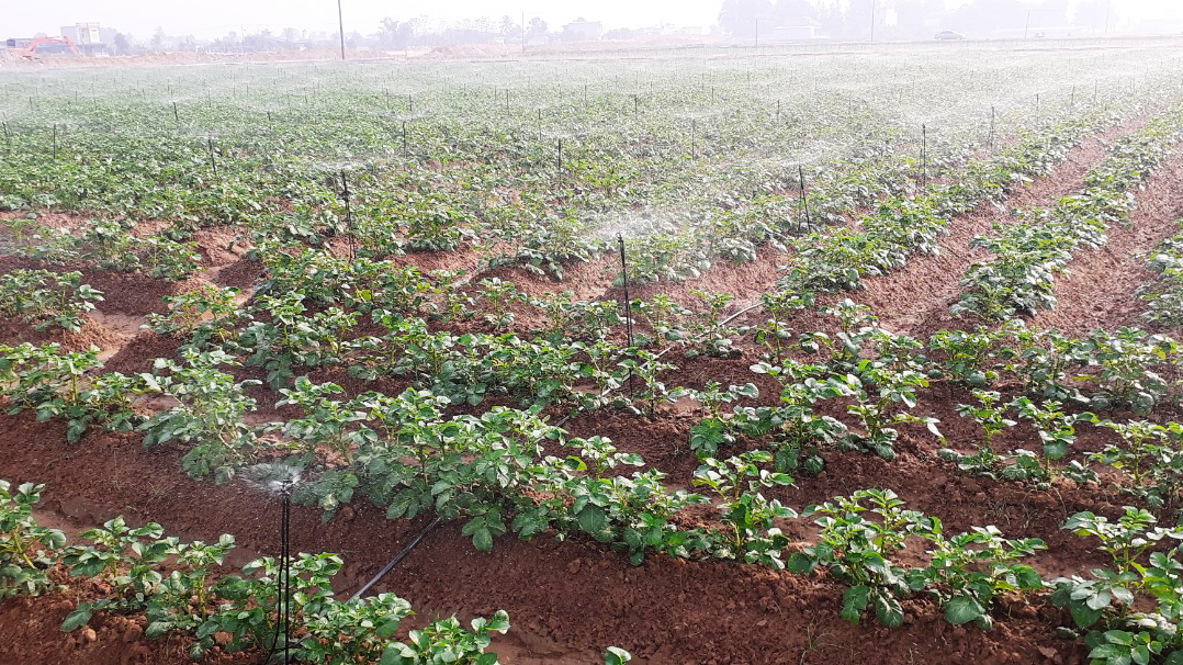 Consulting, supplying modern irrigation techniques and agrochemical equipment