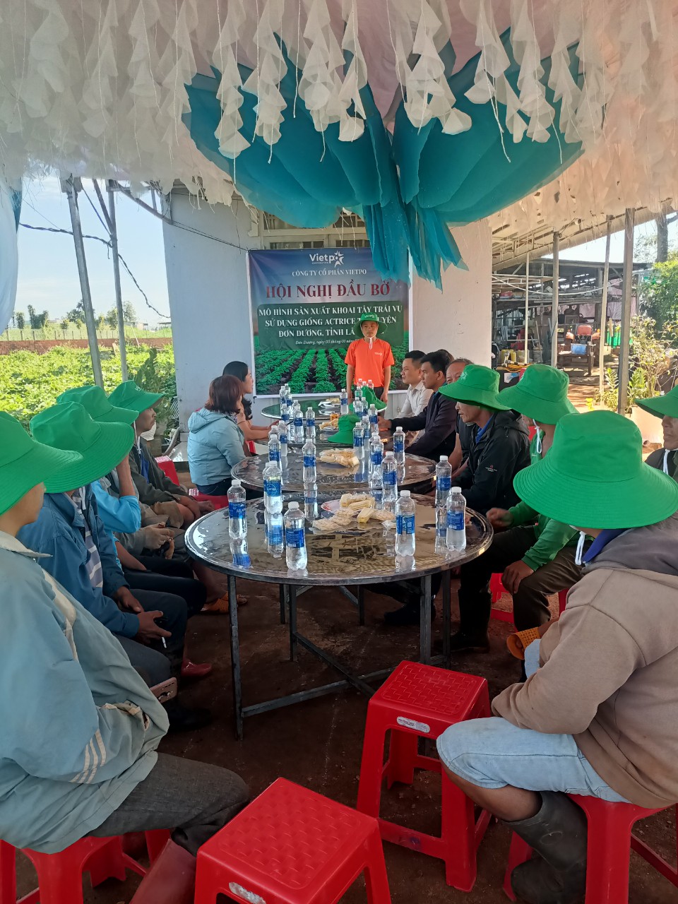 Vietpo Corporation Marks a New Milestone in the Central Highlands: Successful Field Trip on Off-Season Potato Production Using Actrice Variety in Don Duong, Lam Dong